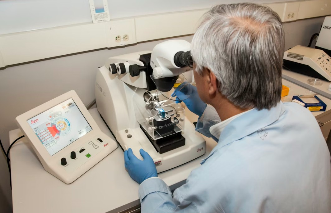 You are currently viewing UIBC 검사 정상 수치, 높을 때·낮을 때 원인 및 철분 대사 평가