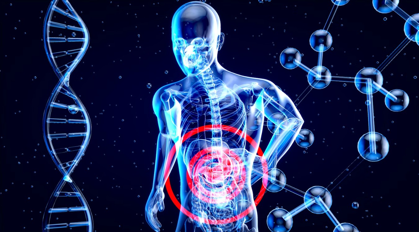 You are currently viewing 간 수치(ALT, AST)의 모든 것: 정상 범위와 수치 상승이 의미하는 간 질환 분석