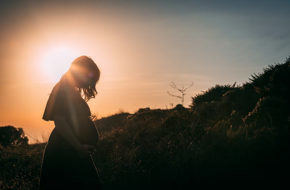 You are currently viewing 임신 초기 갑상선 수치(TSH, Free T4) 분석: 태아 뇌 발달과 갑상선 기능 저하증