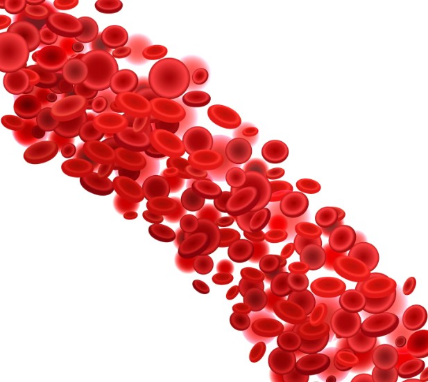 Read more about the article 혈전 전조증상 5가지와 예방법 내 몸이 보내는 혈관 속 위험 신호